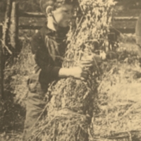 Harvest - Child.jpg