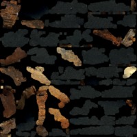 textured_material0002_map_Kd.png